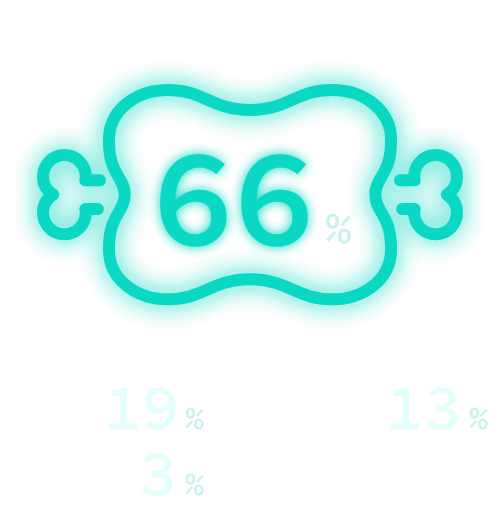 肉派66%、魚派19%、なんでも13%、薄味派3%