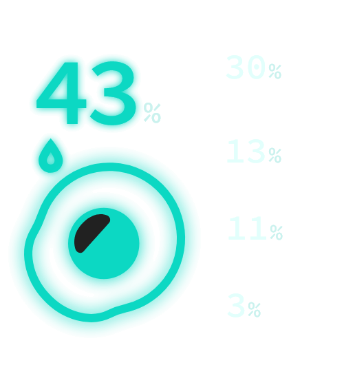 醤油43%、塩コショウ30%、ソース13%、マヨネーズ11%、何もかけない3%