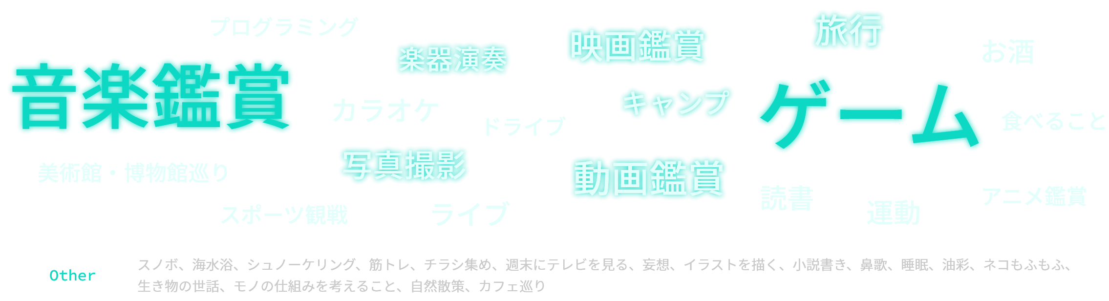 音楽鑑賞、ゲーム、動画鑑賞、映画鑑賞、写真撮影ほか